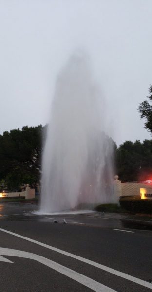Police searching for driver who hit fire hydrant in SLO
