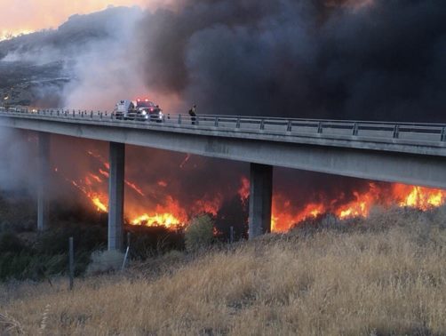 Front Fire scorches 1,000 acres