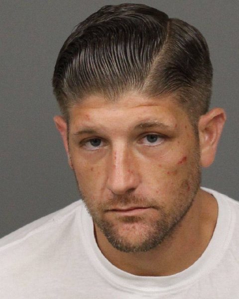 AG felon caught with meth, heroin and gun at traffic stop