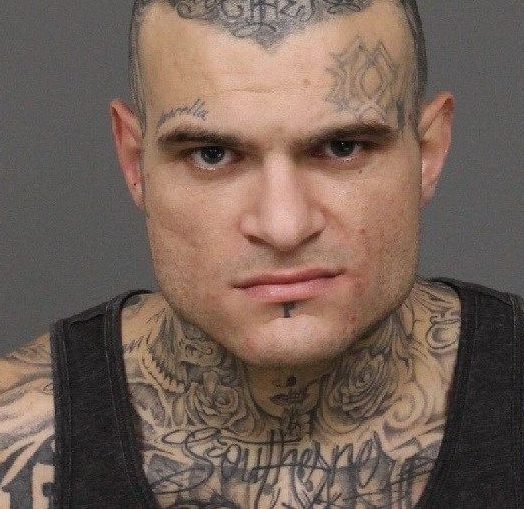 Deputies arrest suspect in Shandon crime spree