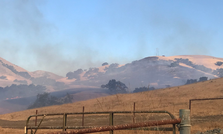 Reservoir Canyon fires burn 50 acres, video