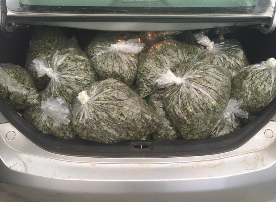 Money laundering claims linked to illegal out-of-state marijuana sales