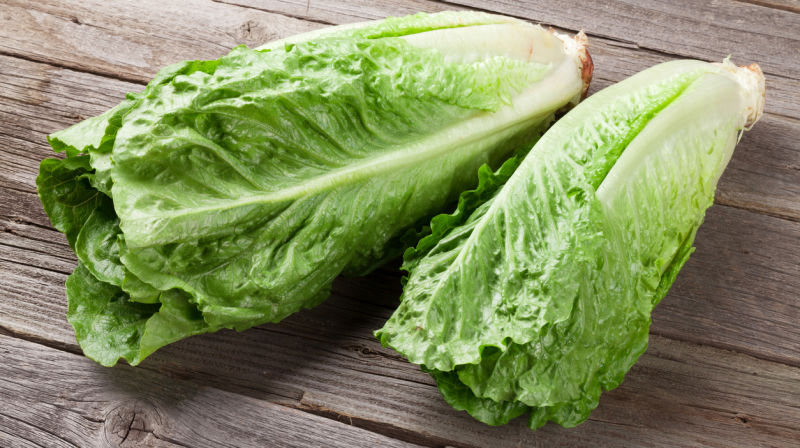 Tainted romaine lettuce likely from the Central Coast