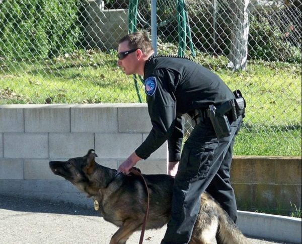 Pismo Beach police officer killed in accidental shooting