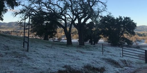 Multiple accidents and snow in North County