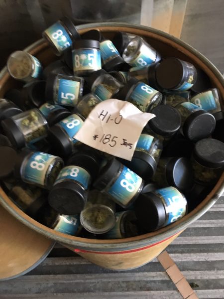 Grover Beach pot shop tied to illegal marijuana grow