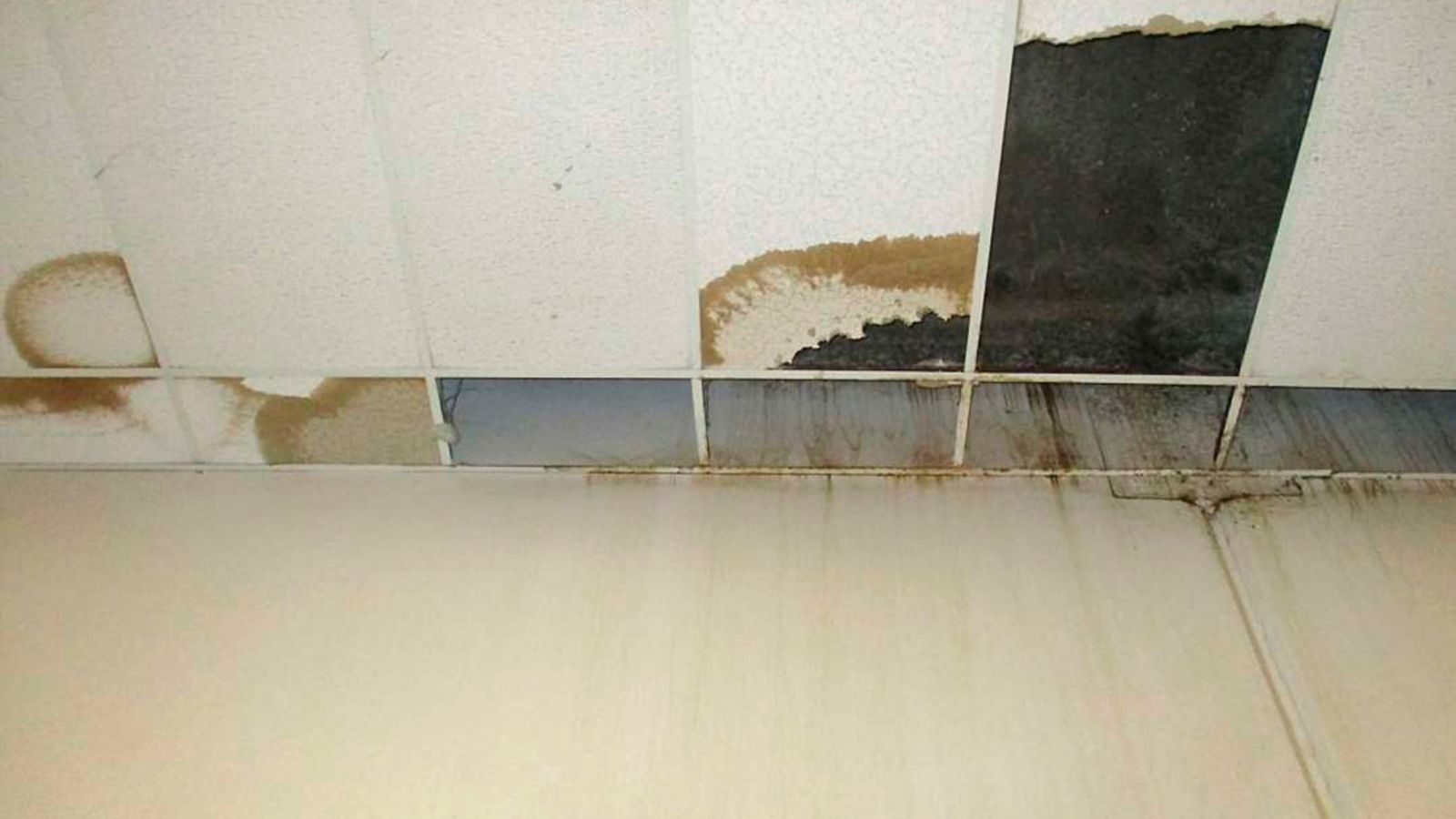 California inmate sues over maggots and mice on prison dining tables