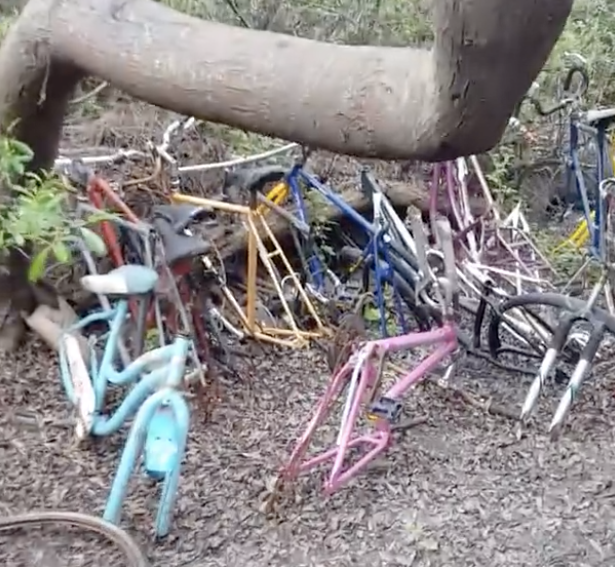 Bike chop shop found at Oceano Dunes Nature Preserve