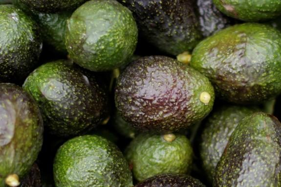 Man allegedly plundered Nipomo farm, sold avocados to restaurants
