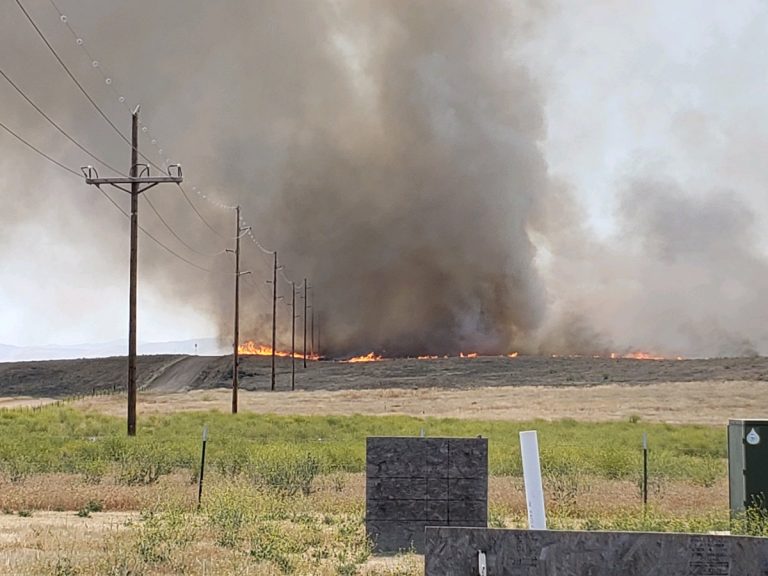 Grass fire burns 900 acres in California Valley