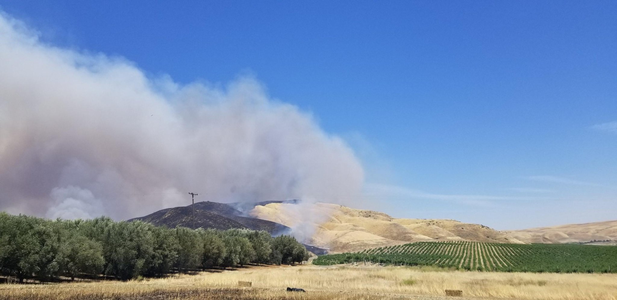 Fast moving fire in Shandon burns 1,000 acres