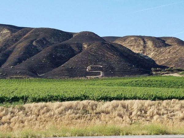 Shandon fire burns 2,000 acres