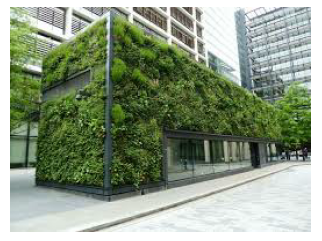 Coverup SLO’s ungainly buildings with living walls