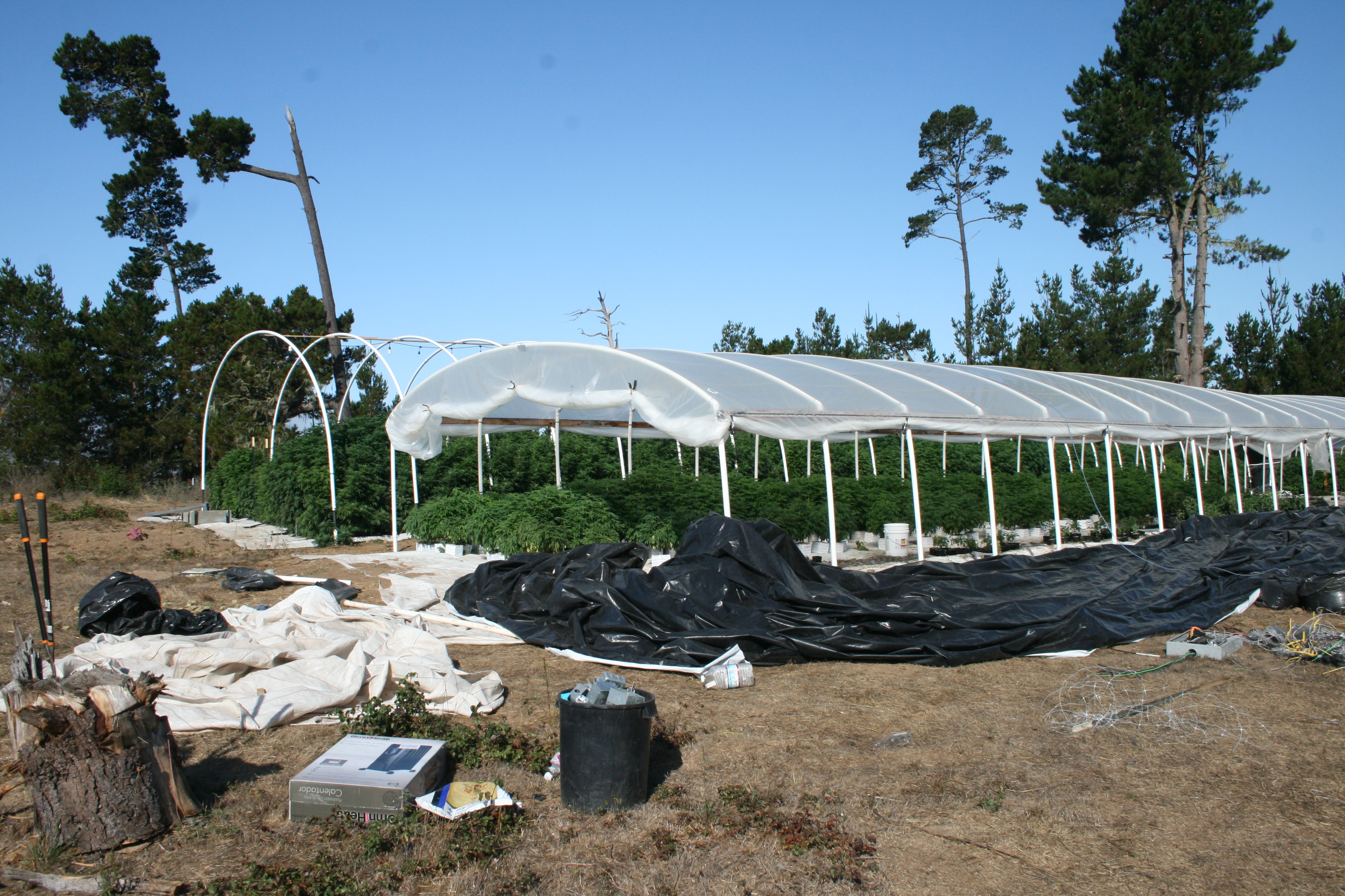 SLO County raids large illegal marijuana grow