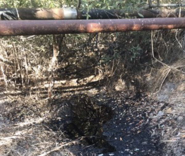 Fifty barrels of oil spill in riparian area near Orcutt
