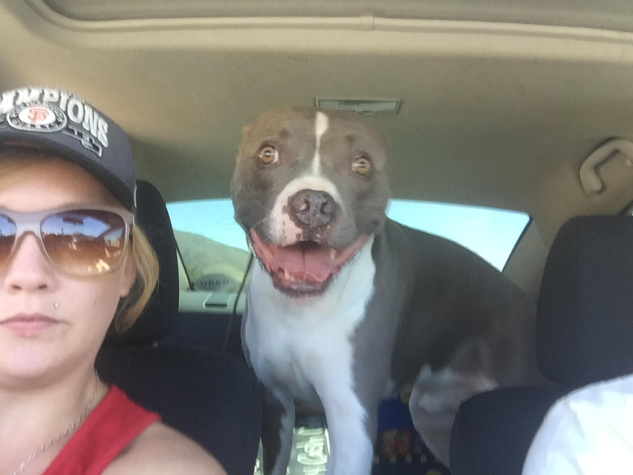 Dogs dies after officer involved shooting in SLO