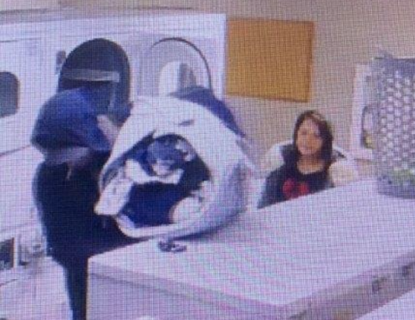 San Luis Obispo police searching for laundry thieves