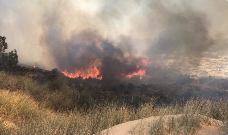 Firefighters quickly contain blaze at the Oceano Dunes