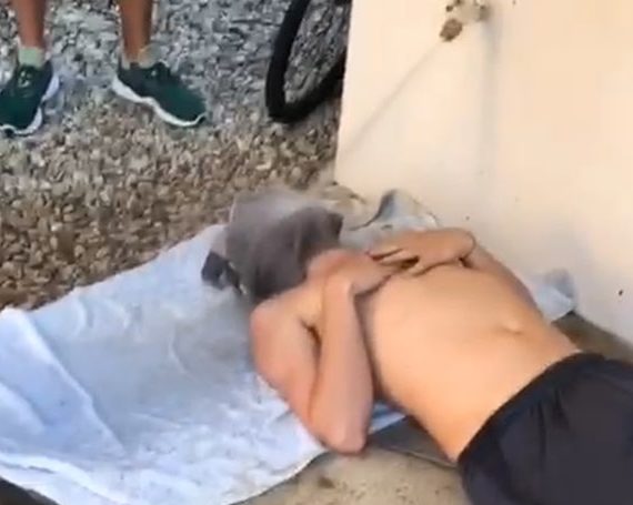 Cal Poly fraternity accused of waterboarding, video