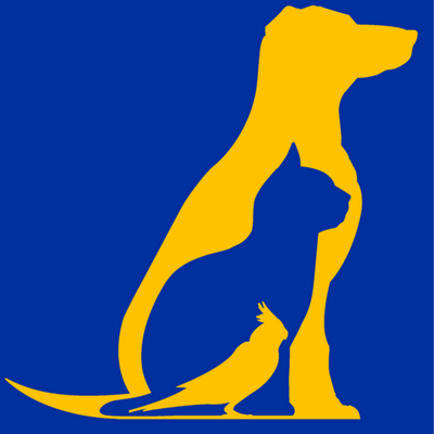 Animal Services recommends criminal charges for Labrador owner
