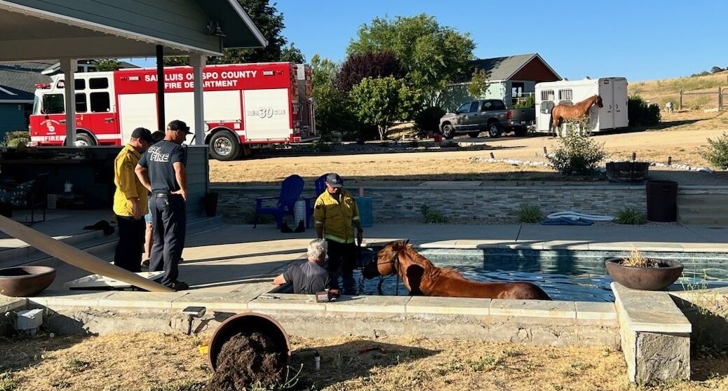 Fire crews rescue horse from pool in rural San Miguel