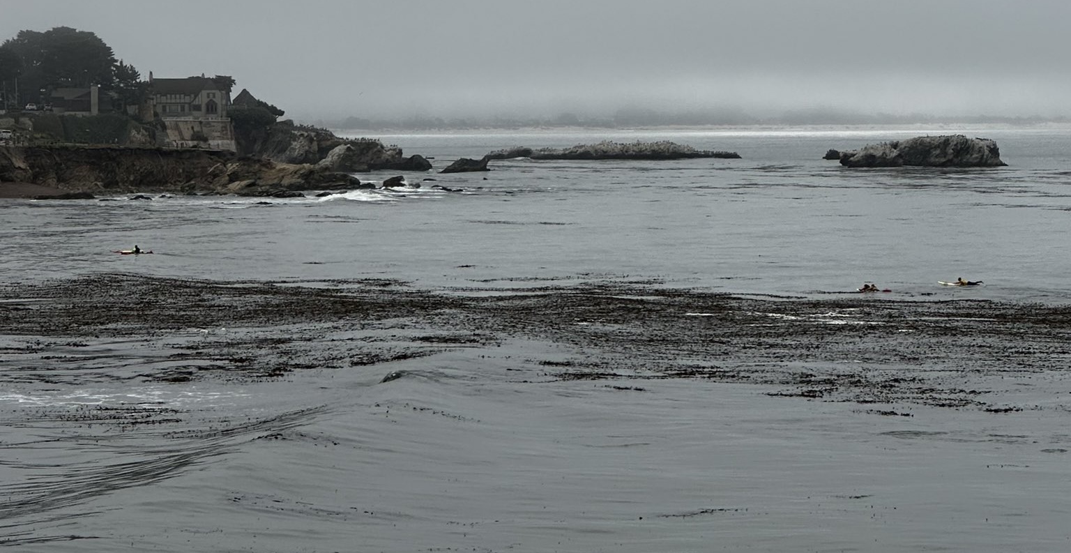 Two individuals rescued after kayak overturns off of Pismo Beach