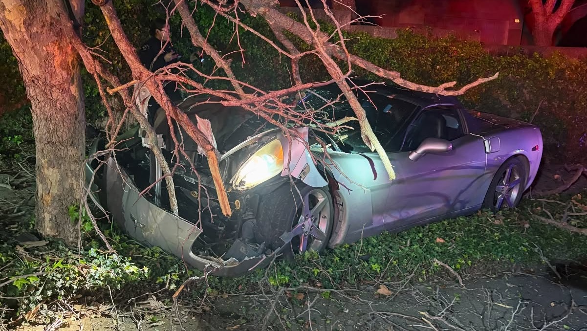 Corvette crashes into tree in San Luis Obispo