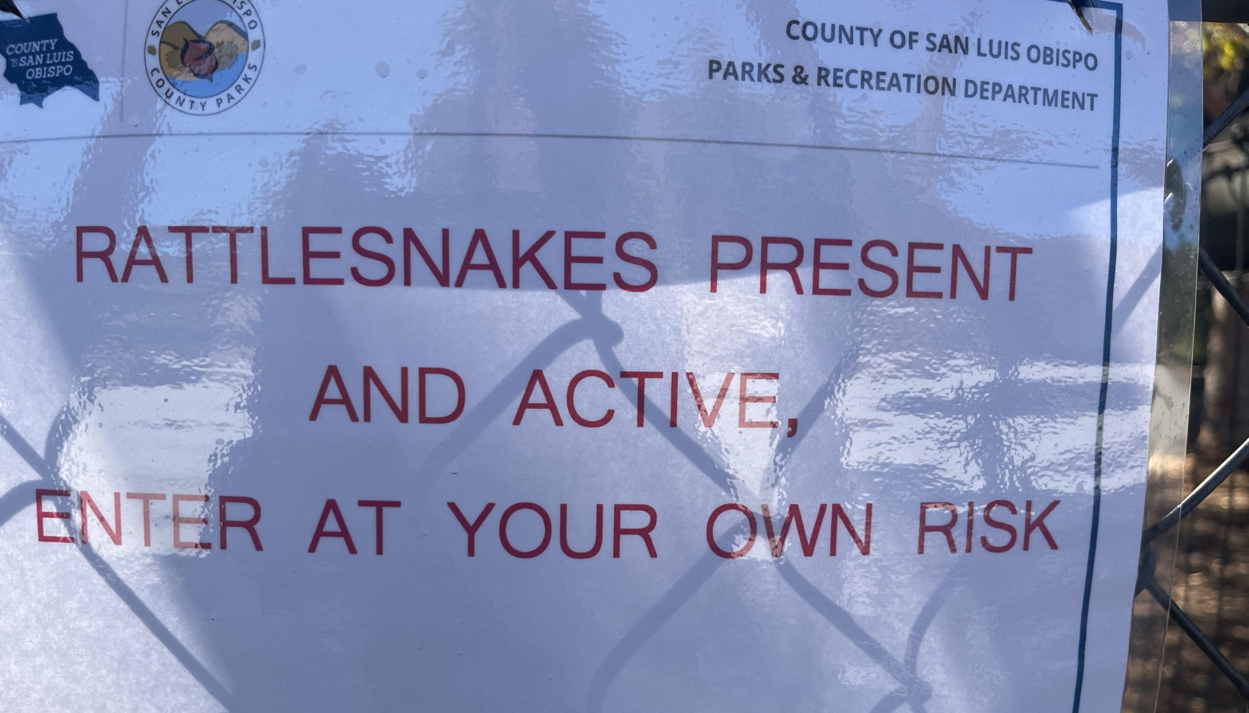 Rangers warn visitors at El Chorro Dog Park of rattlesnakes
