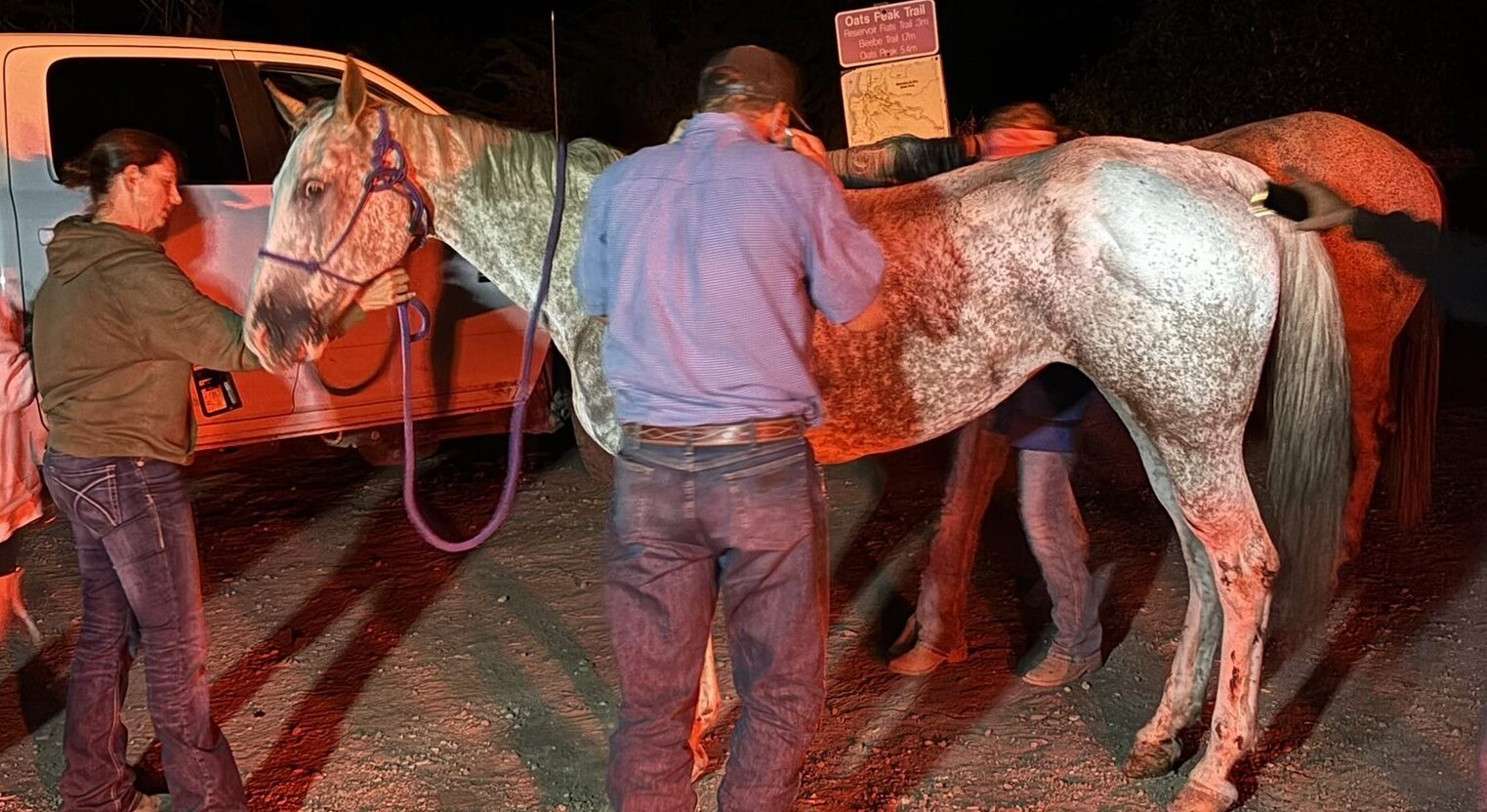 Horse and rider rescued after falling off Montana de Oro trail