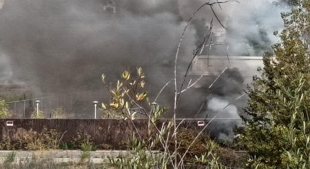 San Luis Obispo police arrest arson suspect