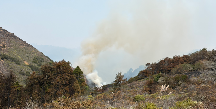 Firefighters slow spread of Plaskett Fire